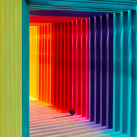 Пиво Endless Summer