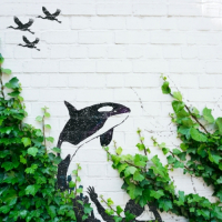 Пиво Hidden In the Green