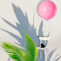 Пиво Lush Puppy Tears Пиво Lush Puppy Tears