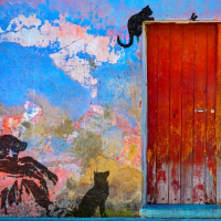 Пиво Off the Beaten Track Пиво Off the Beaten Track