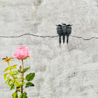 Пиво Stop And Smell the Roses Пиво Stop And Smell the Roses