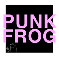 Пиво PUNK FROG