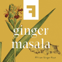 Пиво Ginger Masala Пиво Ginger Masala