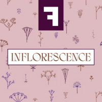 Пиво Inflorescence