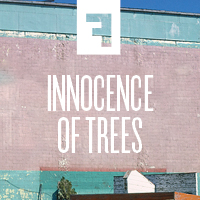 Пиво Innocence of Trees