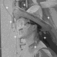 Пиво Seven Stars