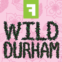 Пиво Wild Durham 2022