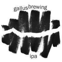 Пиво IPA (Citra, Galaxy) Пиво IPA (Citra, Galaxy)