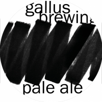 Пиво Pale Ale (Amarillo, Mosaic)
