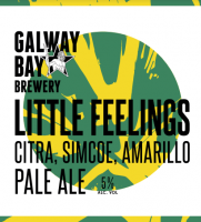 Пиво Little Feelings: Citra, Simcoe, Amarillo Pale Ale Пиво Little Feelings: Citra, Simcoe, Amarillo Pale Ale
