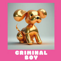 Пиво CRIMINAL BOY