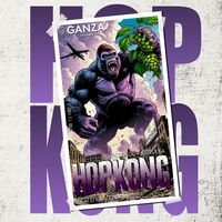 Пиво HOP KONG