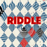 Пиво RIDDLE
