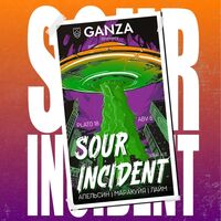 Пиво SOUR INCIDENT