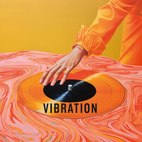 Пиво VIBRATION