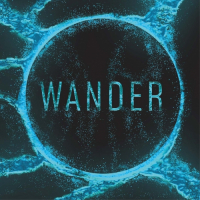 Пиво WANDER