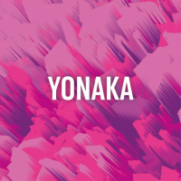 Пиво YONAKA