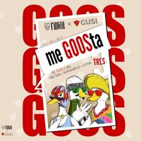 Пиво ME GOOSTA 3