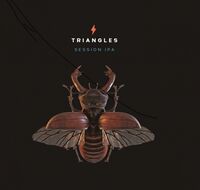 Пиво TRIANGLES Пиво TRIANGLES