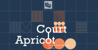 Пиво Court Apricot