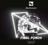 Пиво Final Punch