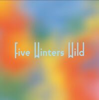 Пиво Five Winters Wild