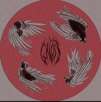 Пиво Gnot - Вечность