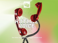 Пиво Hotline Voice #3