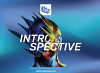 Пиво Introspective