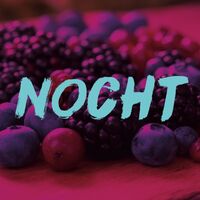 Пиво Nocht