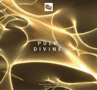 Пиво Pulp Divine