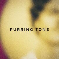 Пиво Purring Tone