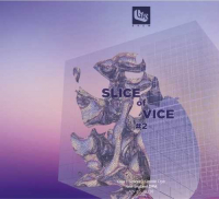 Пиво Slice of Vice #2