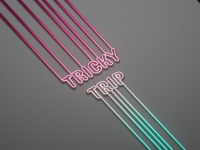 Пиво Tricky Trip