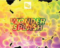 Пиво Wonder Splash Banana X Mango X Lemongrass