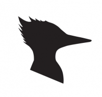 Пиво Lithuanian Cold IPA