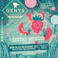 Пиво Non Alco Sixth Month / Non Alco Šeštas Mėnuo