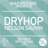Пиво DRYHOP NELSON SAUVIN