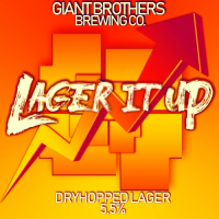 Пиво Lager It Up
