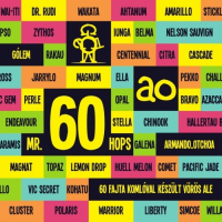 Пиво Mr. 60 Hops