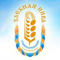 Пиво Деревенский квас