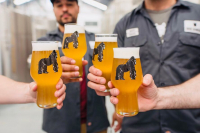 Пиво Dos Dingos Dos Gorillas Пиво Dos Dingos Dos Gorillas