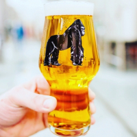 Пиво Germán Pils