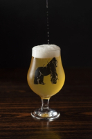 Пиво San Telmo Fire IPA Пиво San Telmo Fire IPA