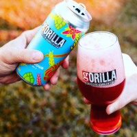 Пиво Vanilla Raspberry Pastry Sour