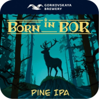 Пиво Born In Bor