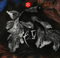 Пиво Betta.Cinco