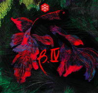 Пиво Betta.Cuatro