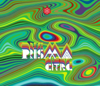 Пиво Prisma Citra