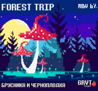 Пиво Forest Trip